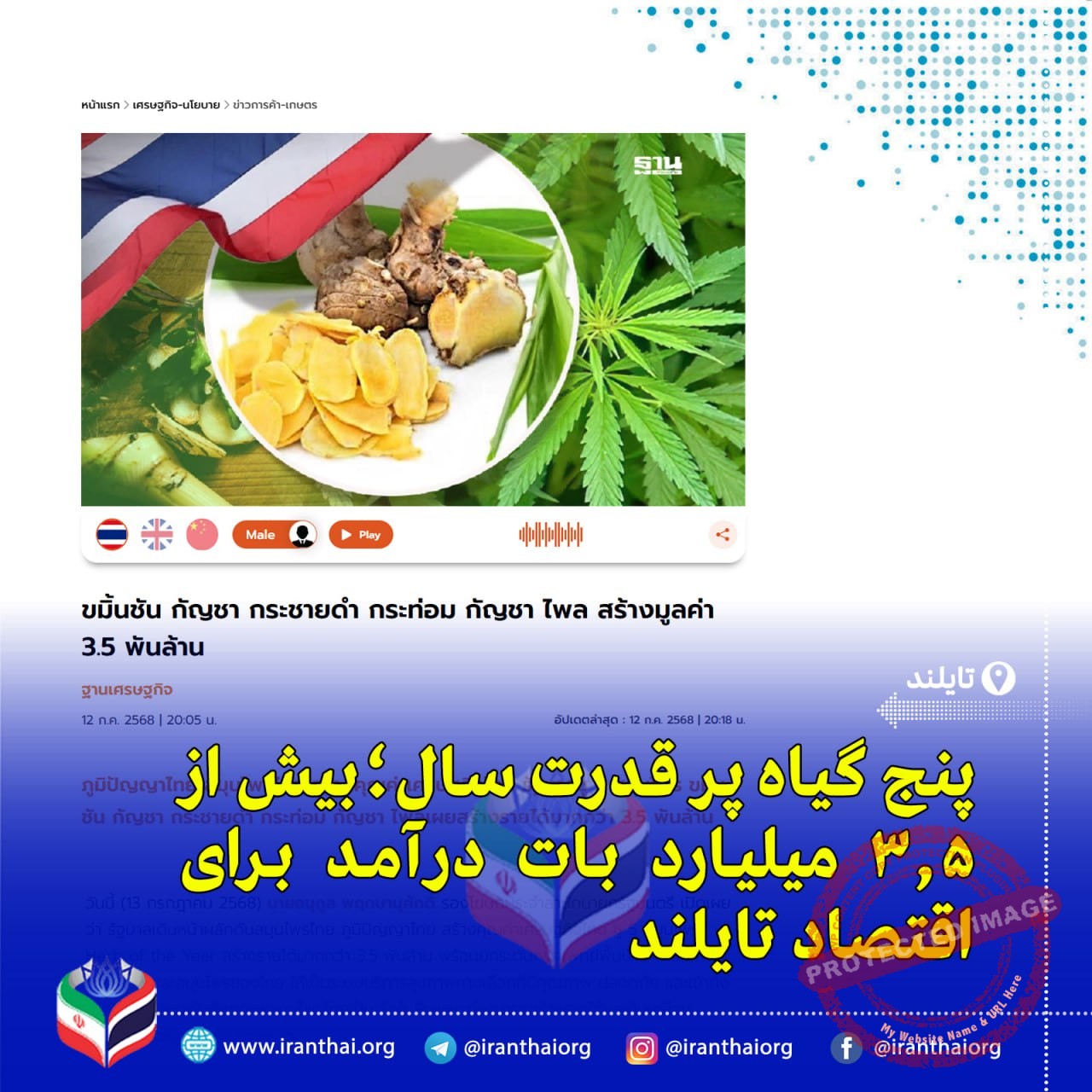 گیاهان دارویی تایلند در مسیر رشد اقتصادی؛ معرفی پنج گیاه سال و ثبت ۲۴۸ میلیون بات گردش مالی