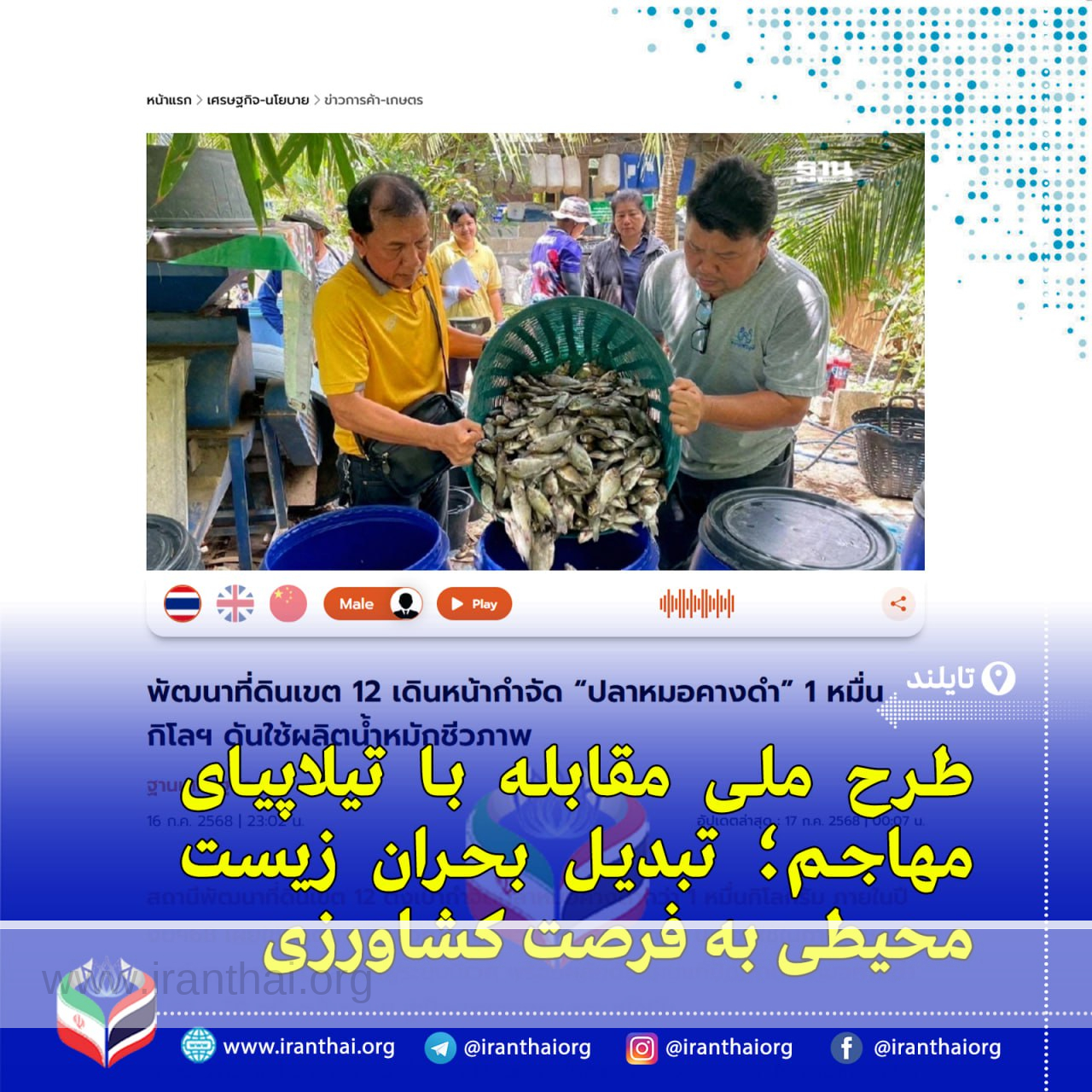 تایلند گونه مهاجم تیلاپیا را به کود زیستی تبدیل می‌کند؛ گامی نوآورانه برای کشاورزی پایدار در سونگلا