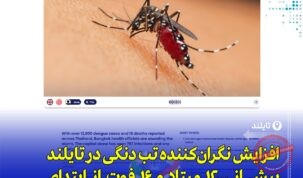 هشدار درباره افزایش تب دِنگی در تایلند؛ بیش از ۱۲ هزار مبتلا و طرح پیشگیری ۵P در بانکوک