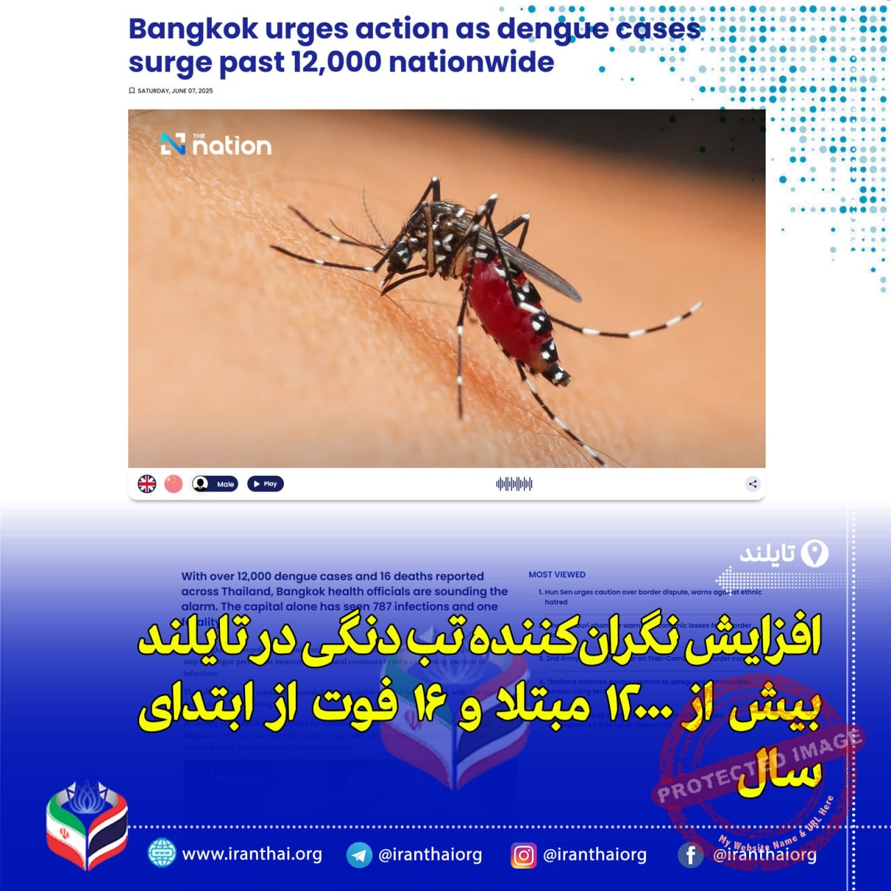 هشدار درباره افزایش تب دِنگی در تایلند؛ بیش از ۱۲ هزار مبتلا و طرح پیشگیری ۵P در بانکوک