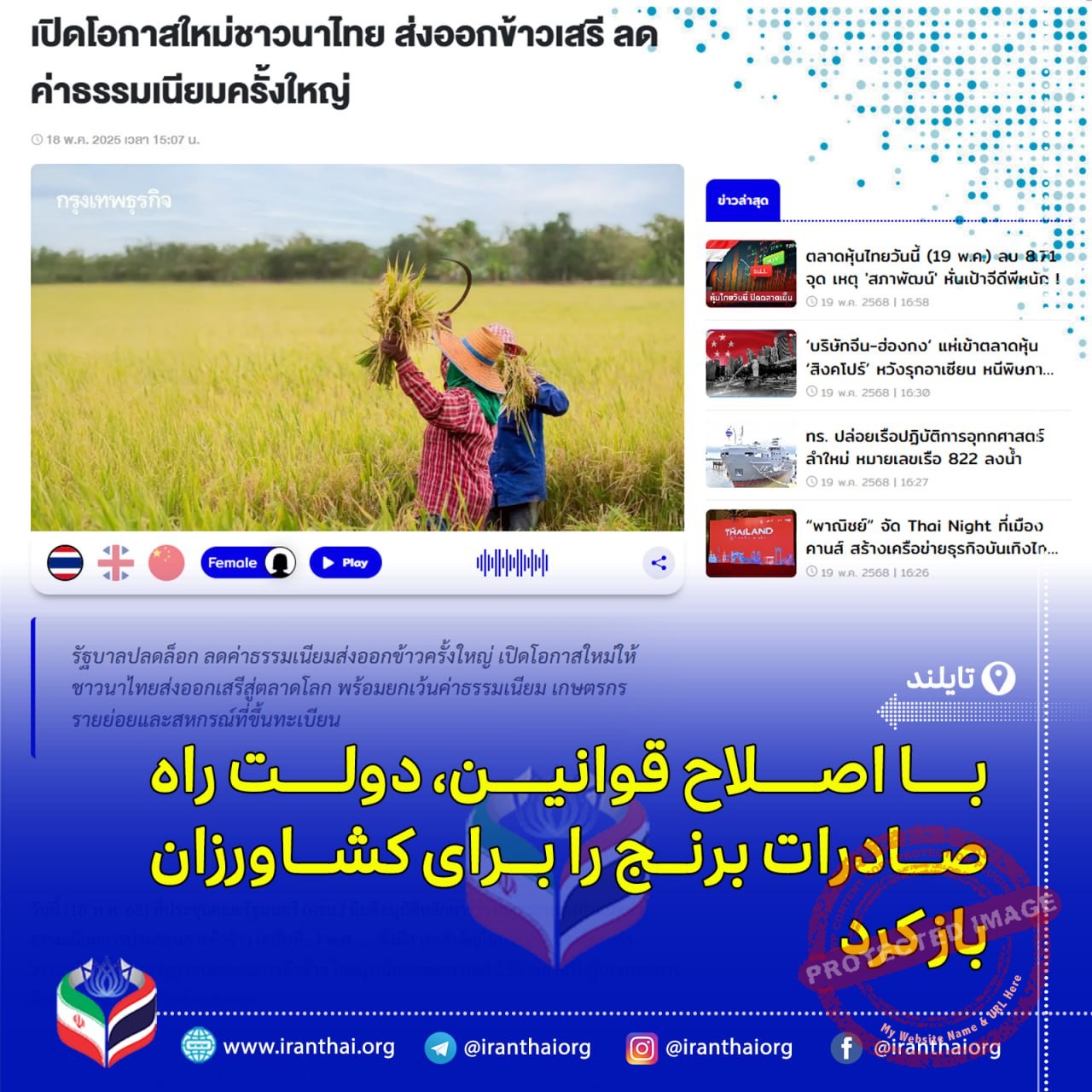 دولت تایلند محدودیت صادرات برنج را لغو کرد و از کشاورزان حمایت می‌کند