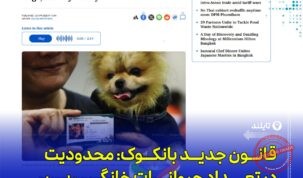قانون جدید ثبت و میکروچیپ‌گذاری سگ و گربه در بانکوک از ژانویه ۲۰۲۶ اجرا می‌شود