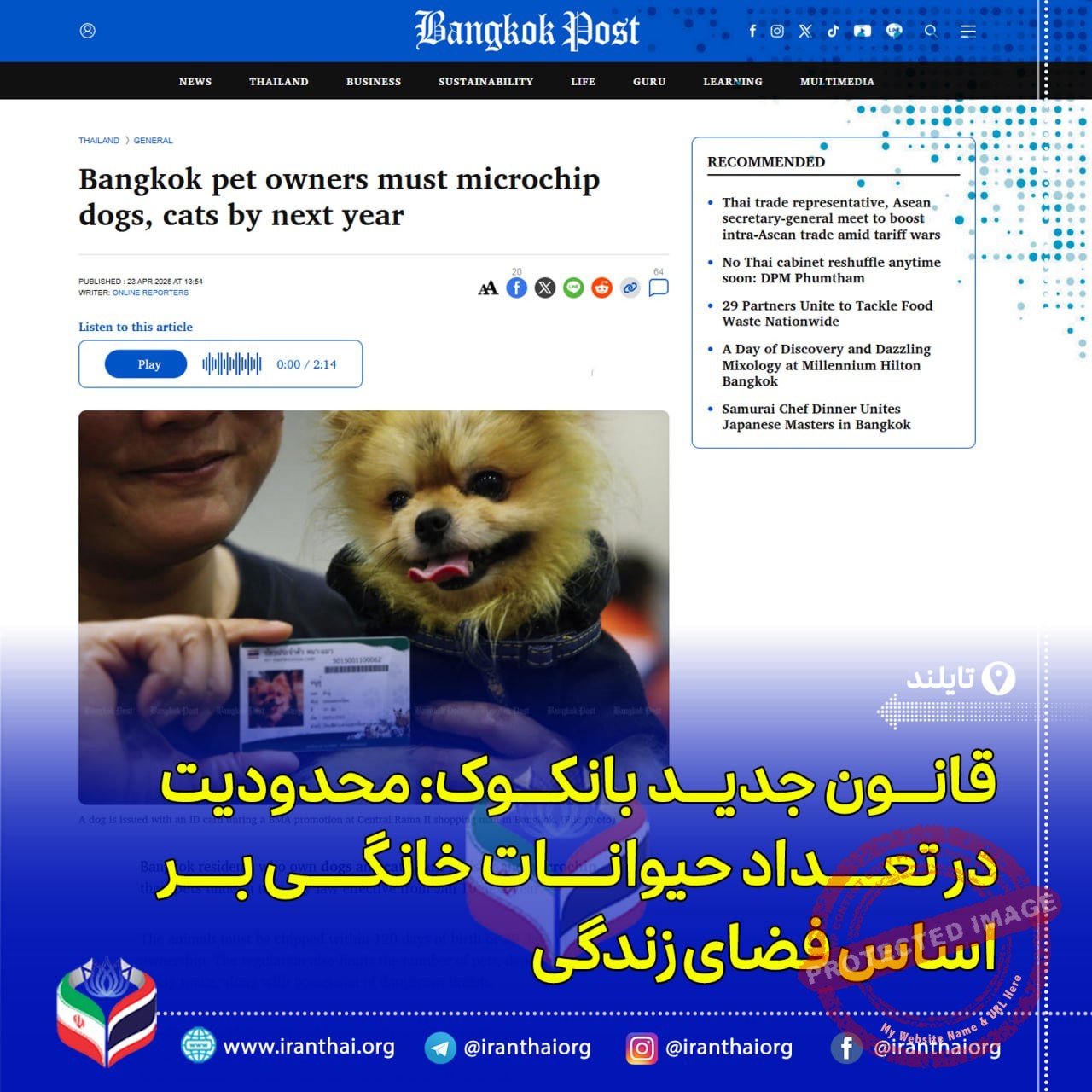 قانون جدید ثبت و میکروچیپ‌گذاری سگ و گربه در بانکوک از ژانویه ۲۰۲۶ اجرا می‌شود