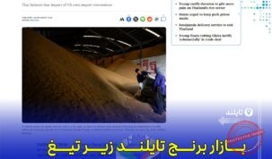 کاهش صادرات برنج معطر تایلند به آمریکا در خطر تعرفه‌های جدید و رقابت ویتنام