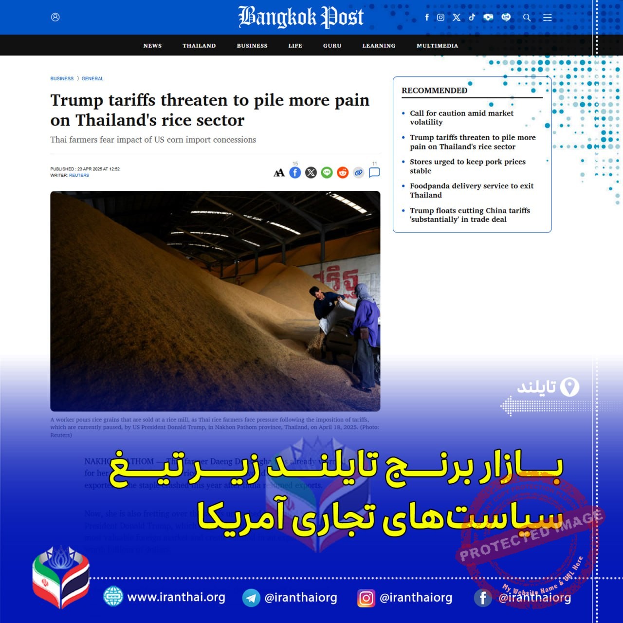 کاهش صادرات برنج معطر تایلند به آمریکا در خطر تعرفه‌های جدید و رقابت ویتنام