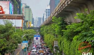 بانکوک از کاشت ۲ میلیون گیاه عبور کرد؛ هدف بعدی ۳ میلیون