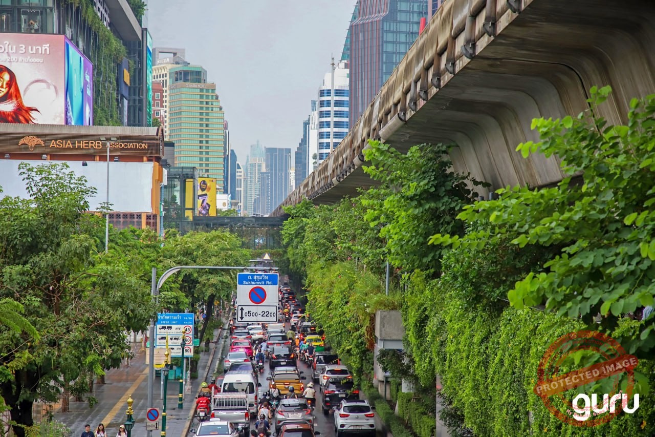 بانکوک از کاشت ۲ میلیون گیاه عبور کرد؛ هدف بعدی ۳ میلیون