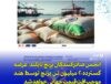 «سقوط احتمالی قیمت برنج تایلند؛ رقابت سنگین با صادرات ارزان هند»